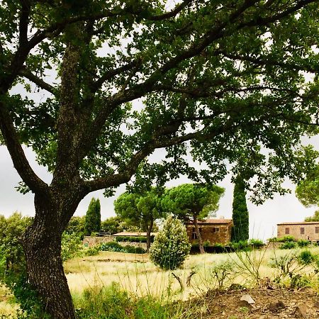 Nocini Di Maremma Villa Tatti Ngoại thất bức ảnh
