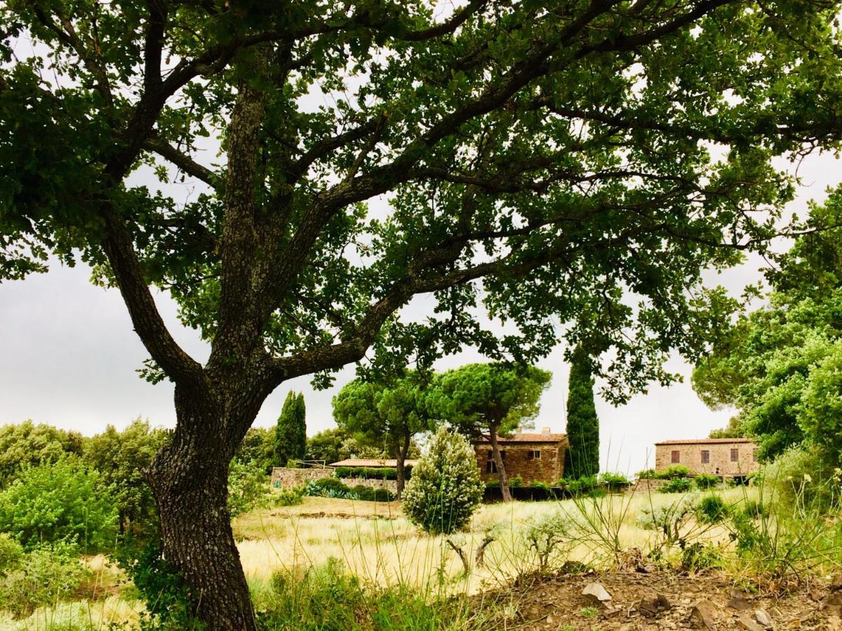 Nocini Di Maremma Villa Tatti Ngoại thất bức ảnh