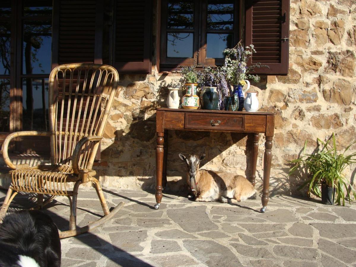 Nocini Di Maremma Villa Tatti Ngoại thất bức ảnh