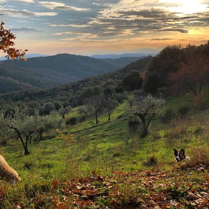Nocini Di Maremma Villa Tatti Ngoại thất bức ảnh