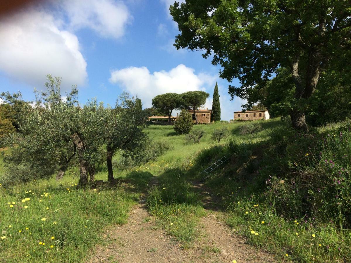 Nocini Di Maremma Villa Tatti Ngoại thất bức ảnh