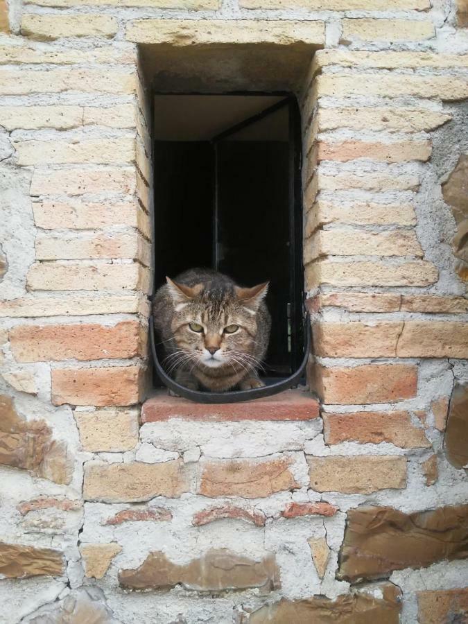 Nocini Di Maremma Villa Tatti Ngoại thất bức ảnh